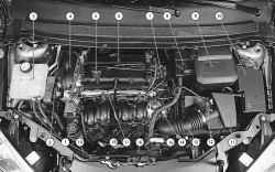 Подкапотное пространство автомобиля с двигателем 1,6 л Duratec Ti-VCT (вид сверху)